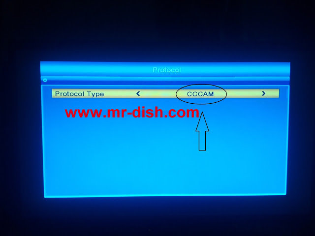 mr-dish.com
