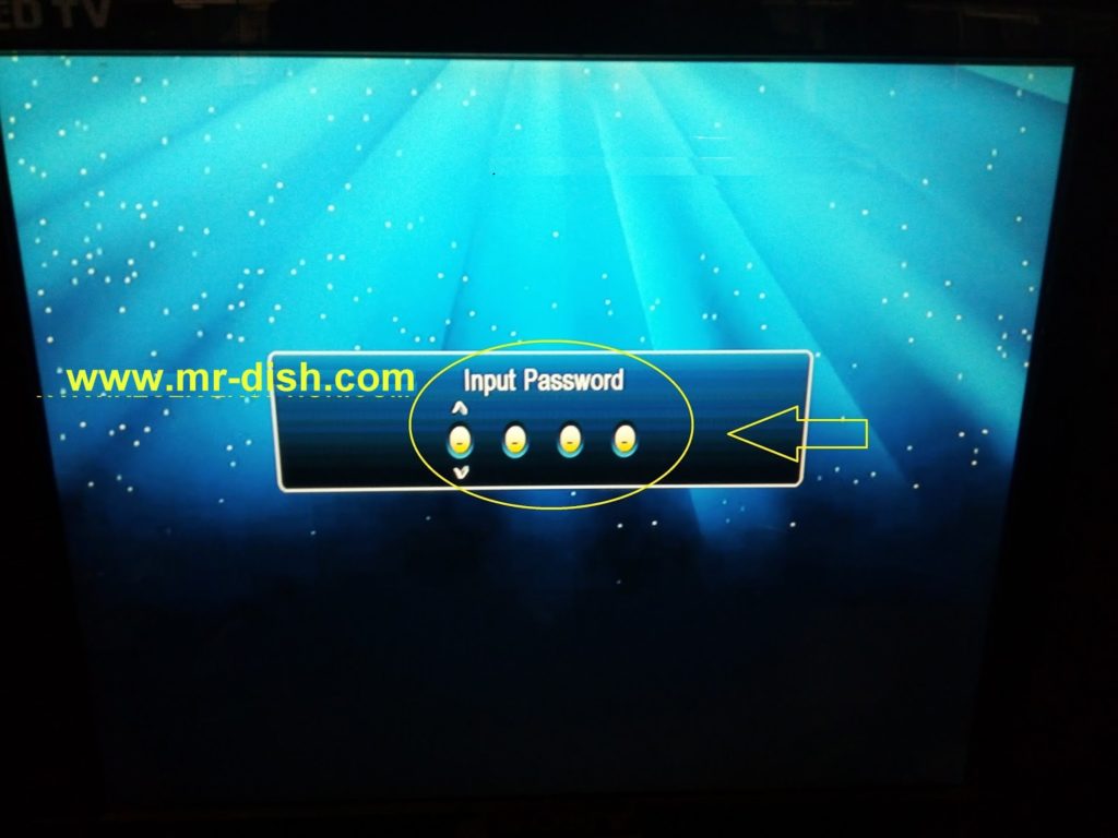 mr-dish.com