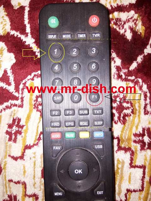 mr-dish.com
