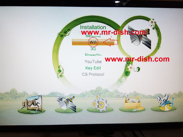 mr-dish.com