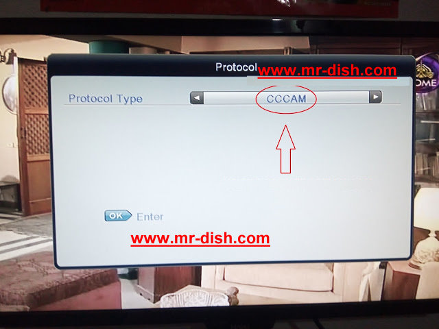 www.mr-dish.com