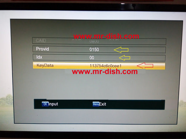 mr-dish.com