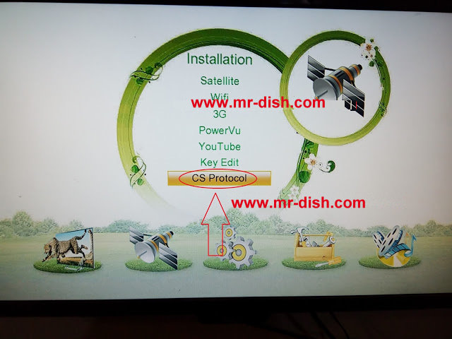 mr-dish.com