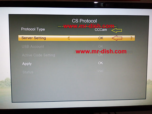 mr-dish.com