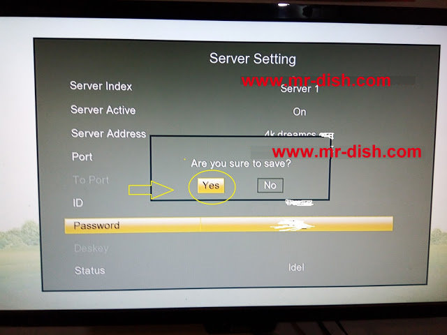 mr-dish.com