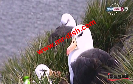 www.mr-dish.com